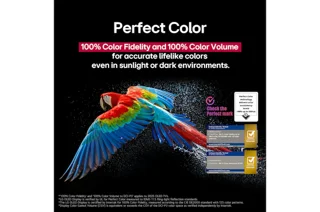 قیمت و خرید تلویزیون ال جی OLED C5 سایز 55 اینچ | OLED55C5PSA